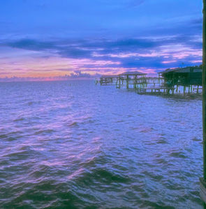 Meet your Posher, Libby